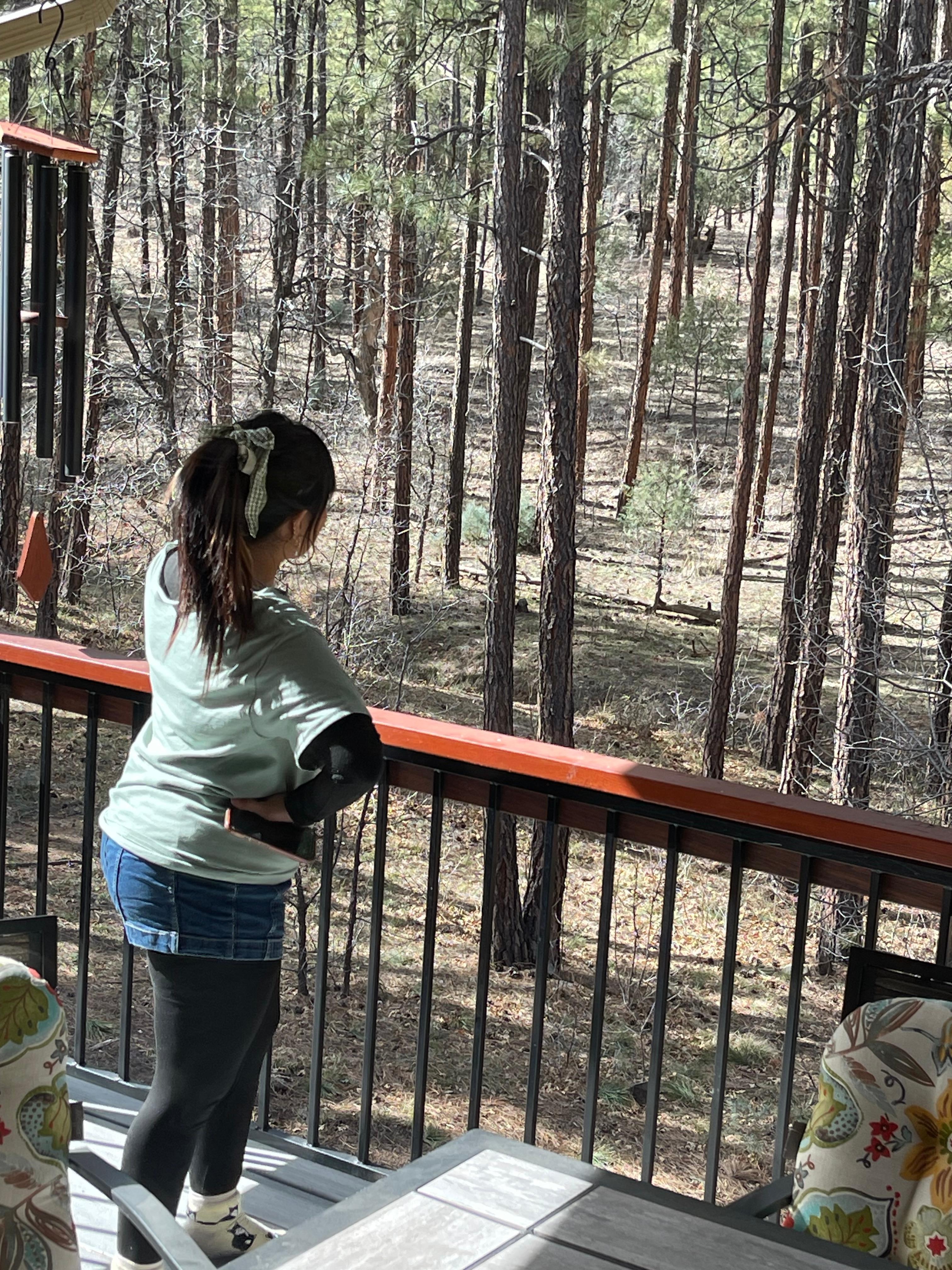 When we were elk watching