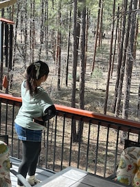 When we were elk watching