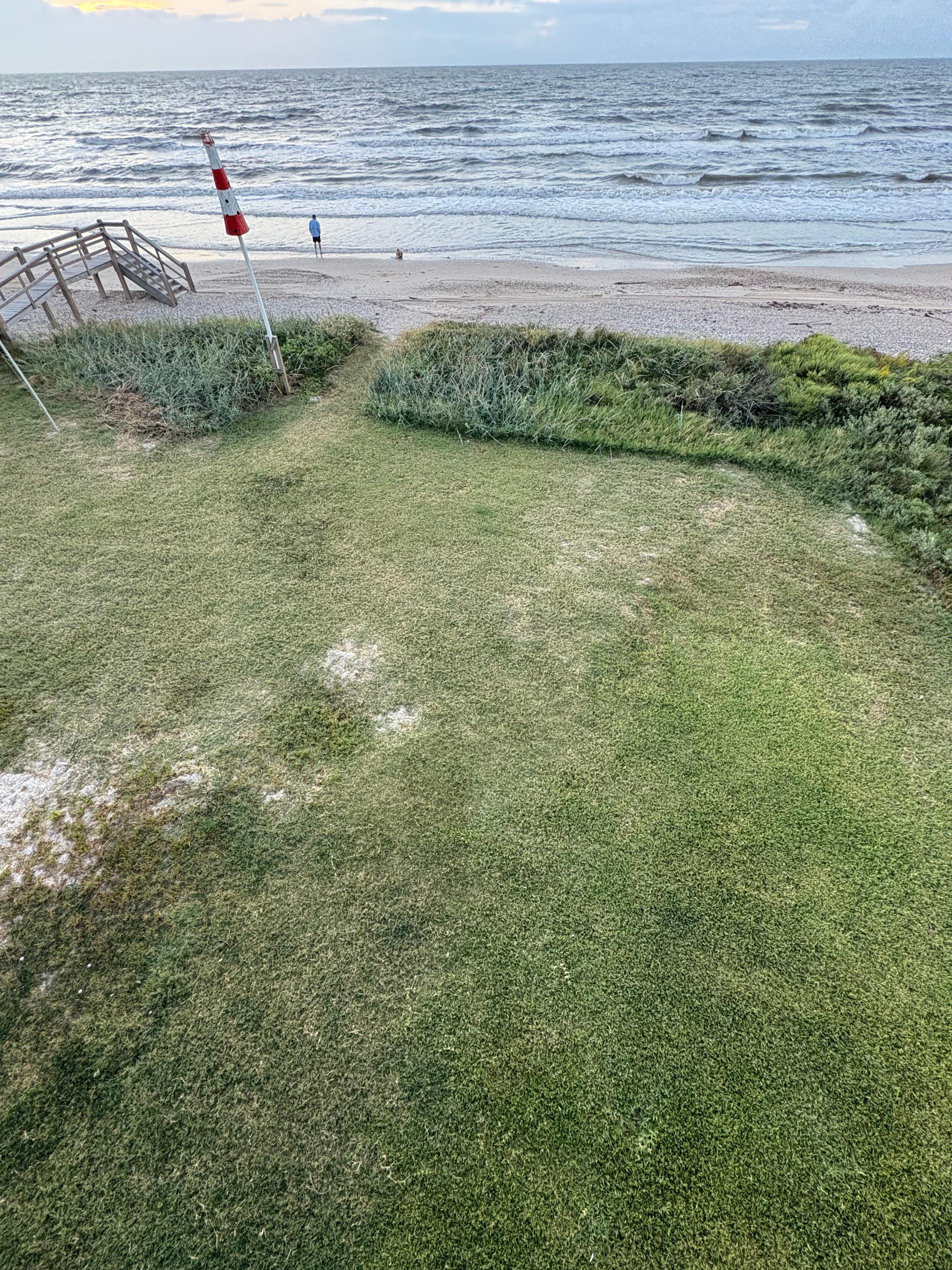 View from deck—no zoom