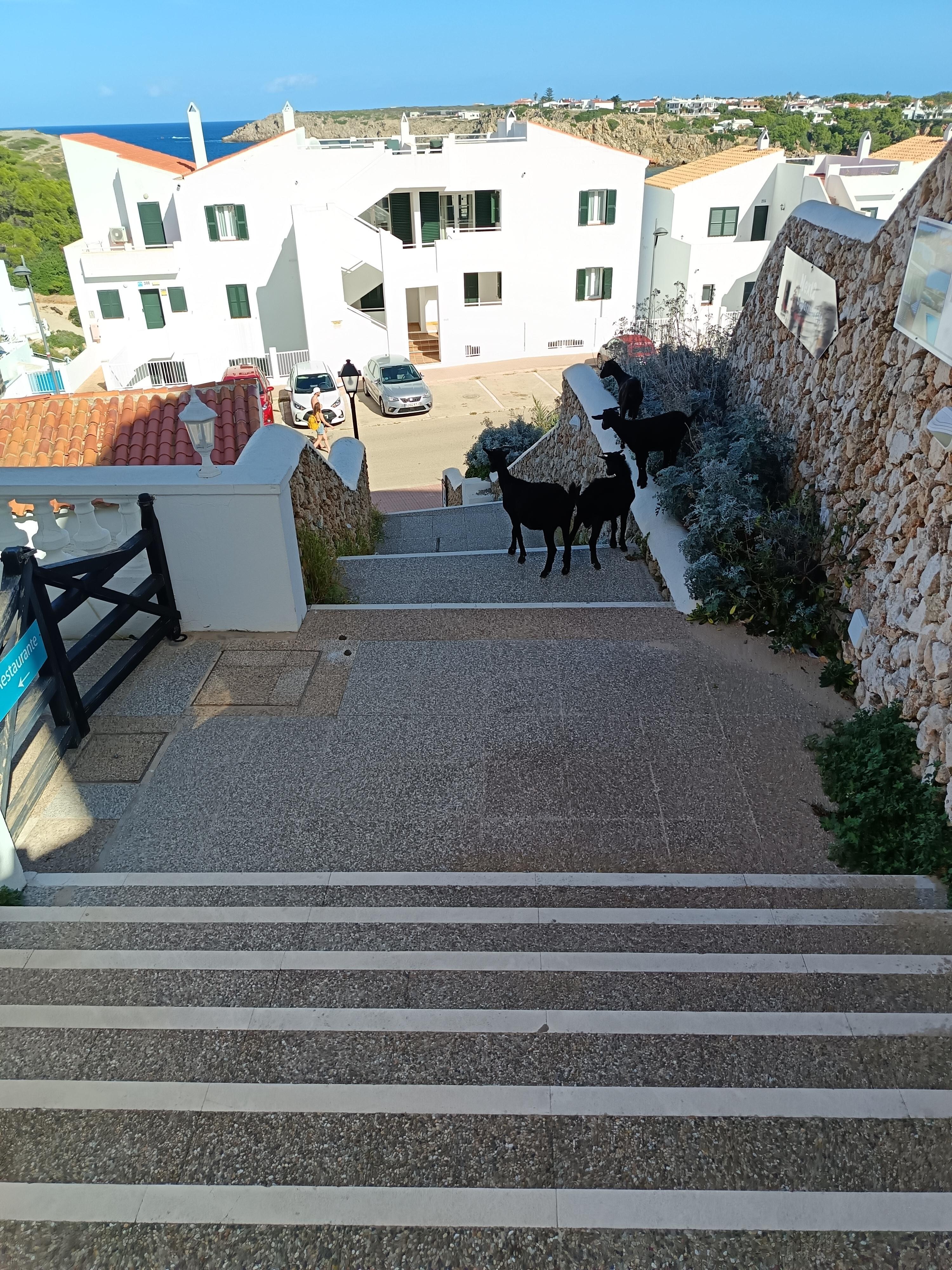 Sur les 5 minutes de trajet pour la plage d'arenal d'en castell