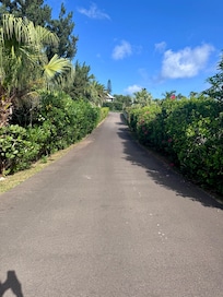 Pathway walking to the bus stop