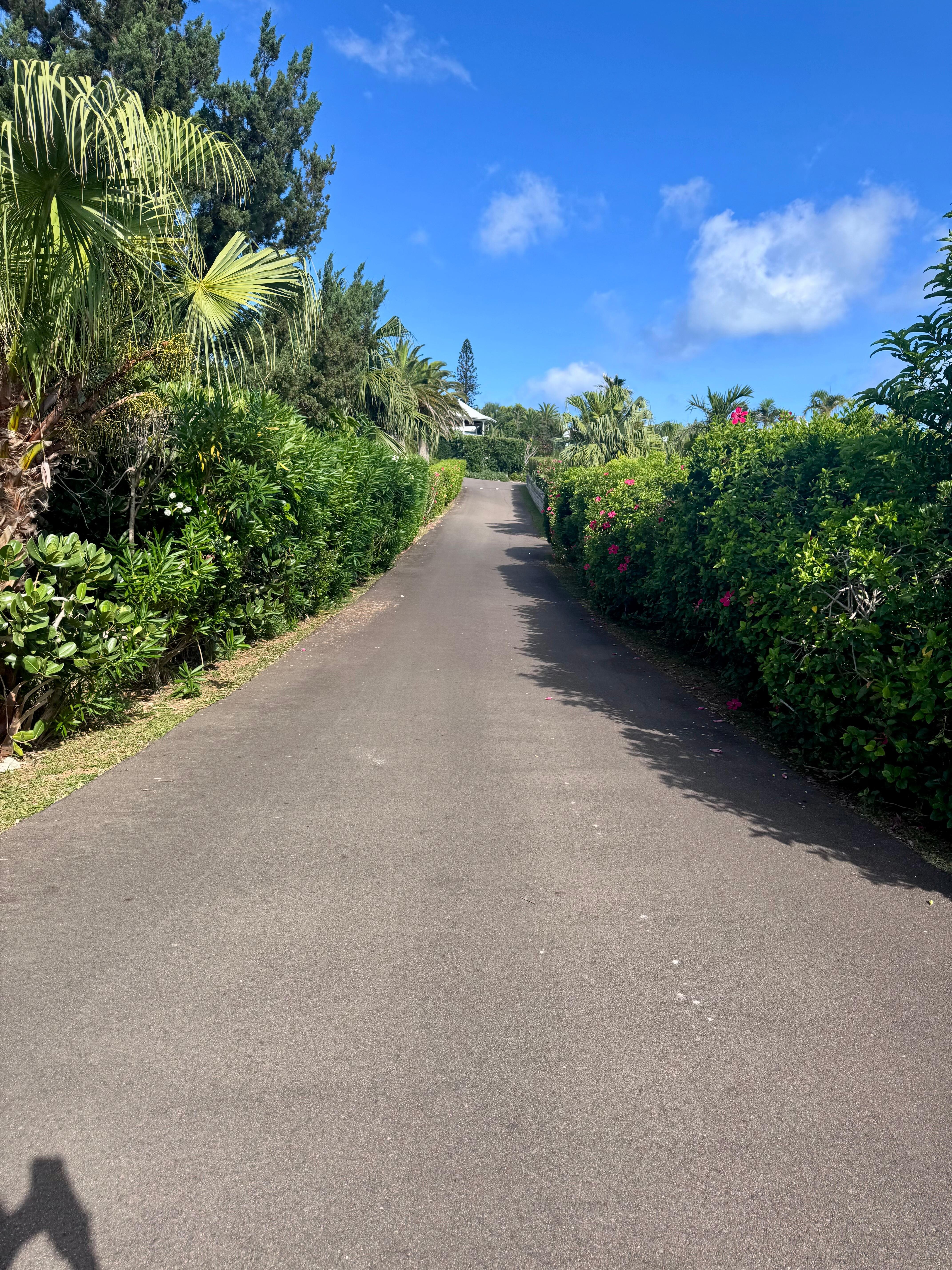 Pathway walking to the bus stop