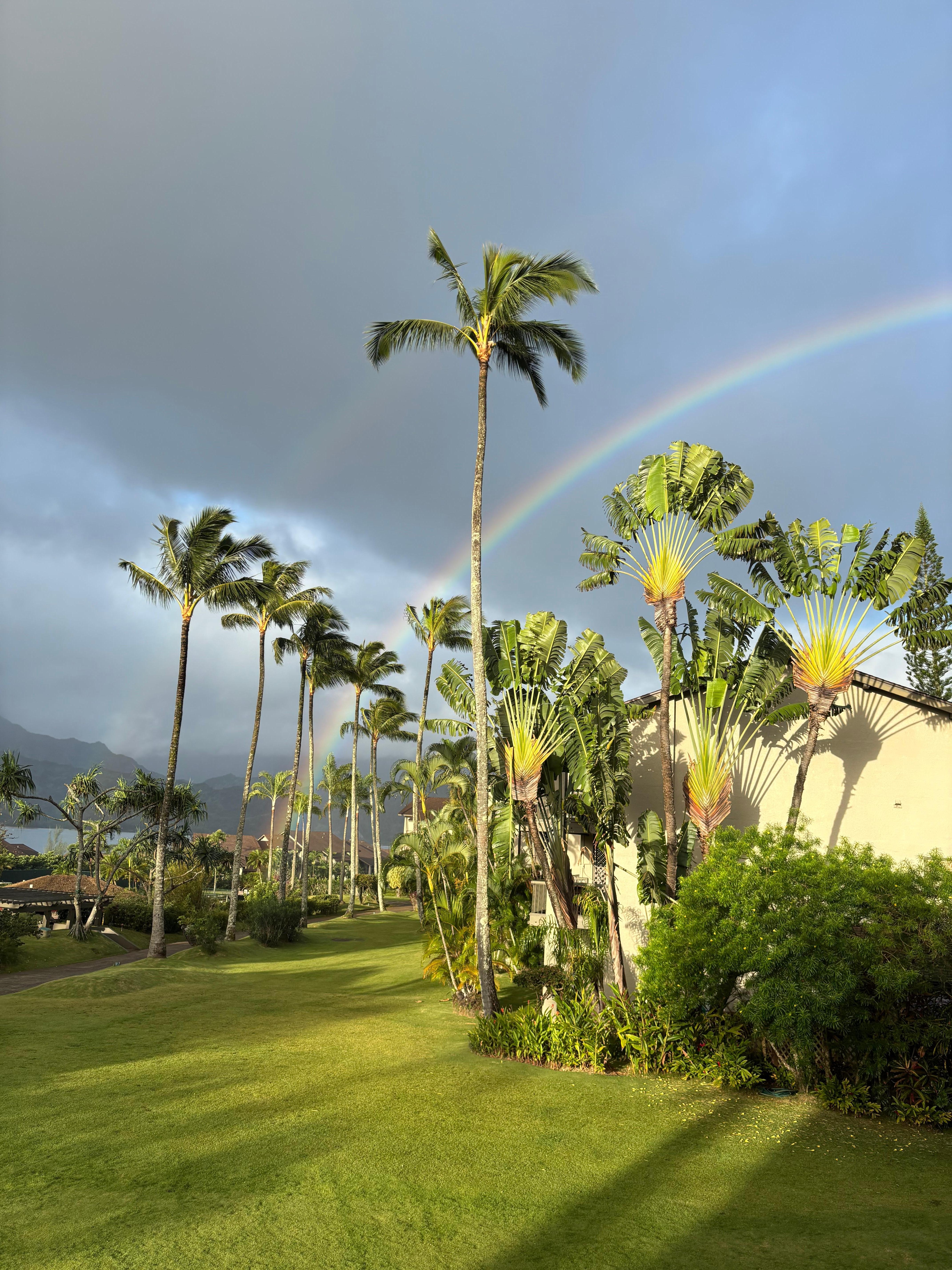 Morning rainbows from the lanai 