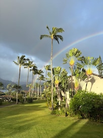 Morning rainbows from the lanai
