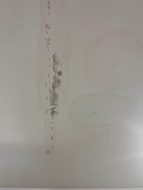 Mold/water damage on ceiling.