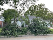 Accumulated branches in front yard