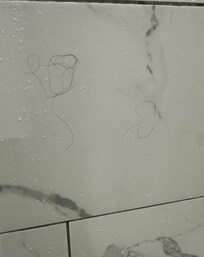 Hair on bathroom wall at check in. Manager saw this and asked if we wanted her to clean the bathroom?!!