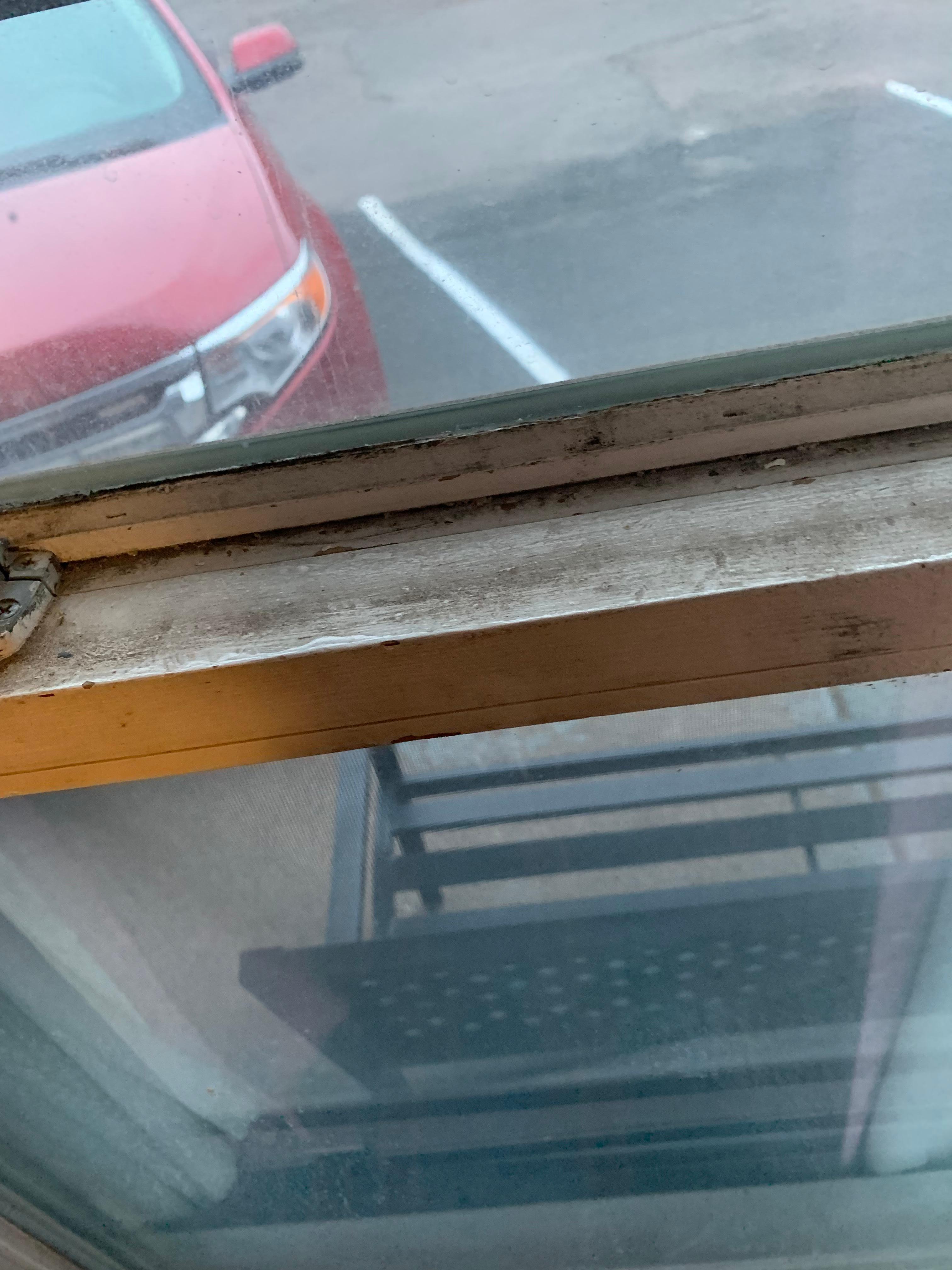 mold on window sill 