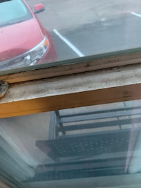 mold on window sill