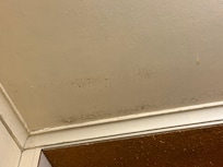 Mould on laundry ceiling.