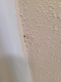 Dried blood on wall in bathroom