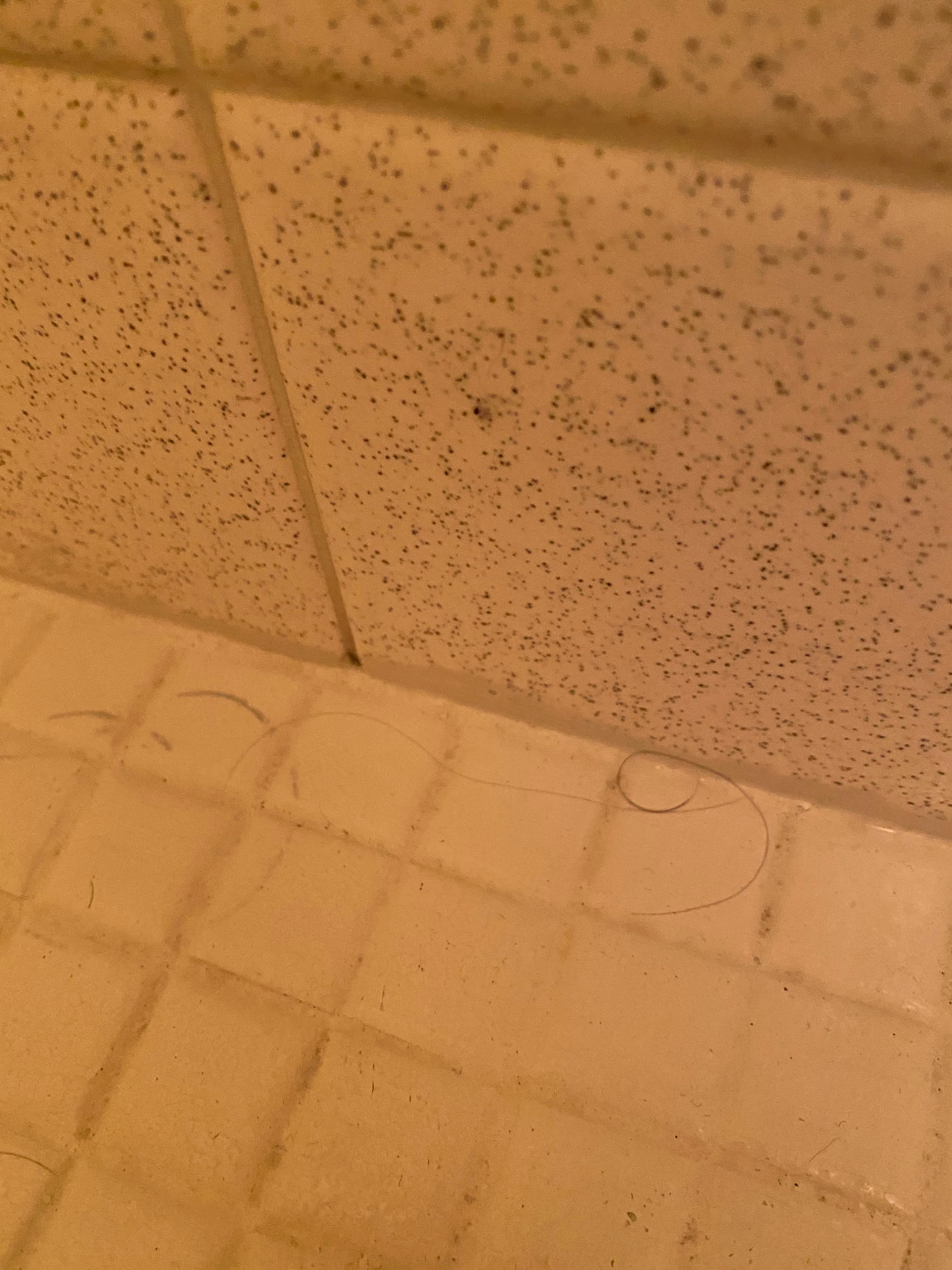 Hair left from previous guests