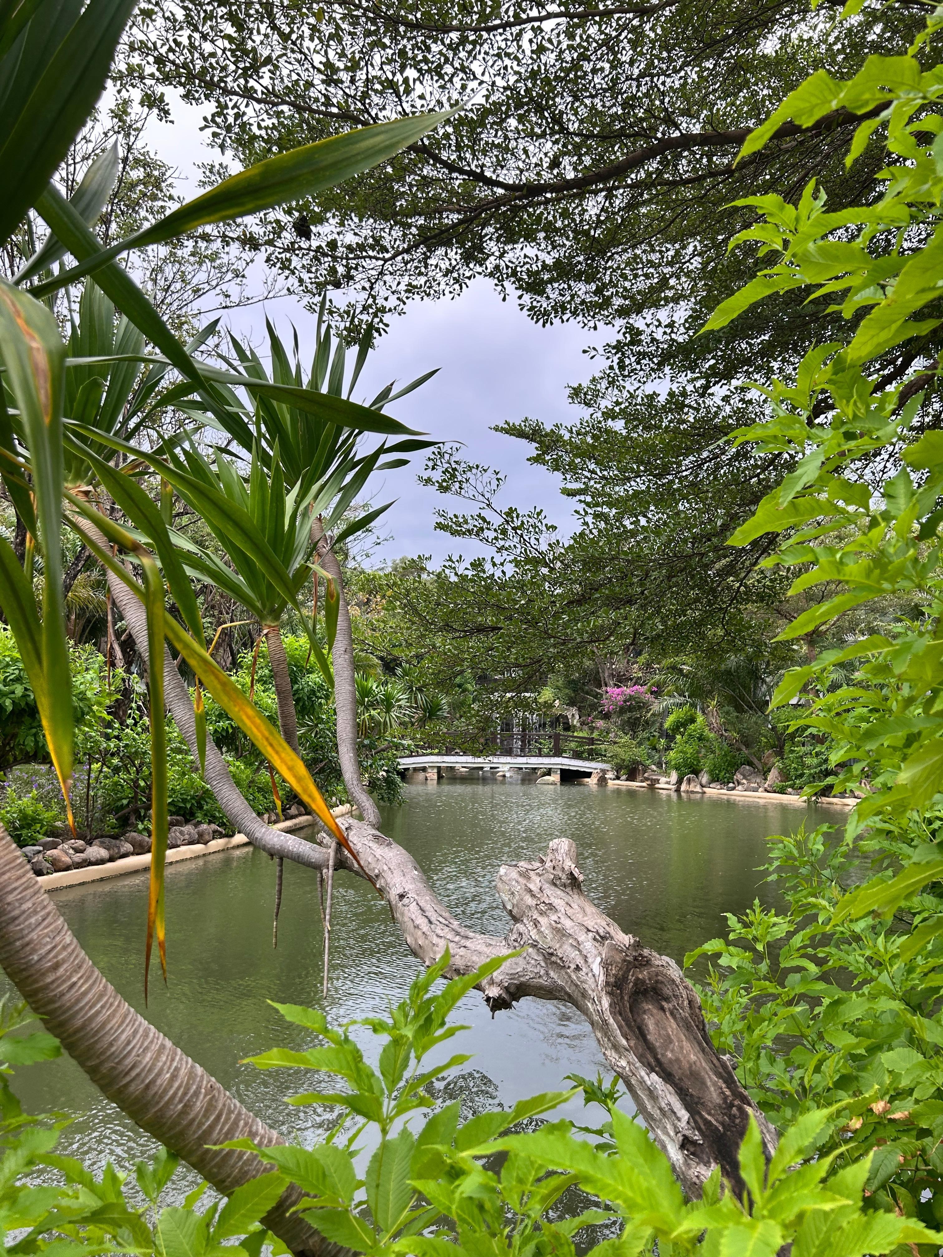 Good view for walk and run