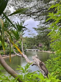 Good view for walk and run