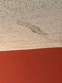 Staining...right above the bed