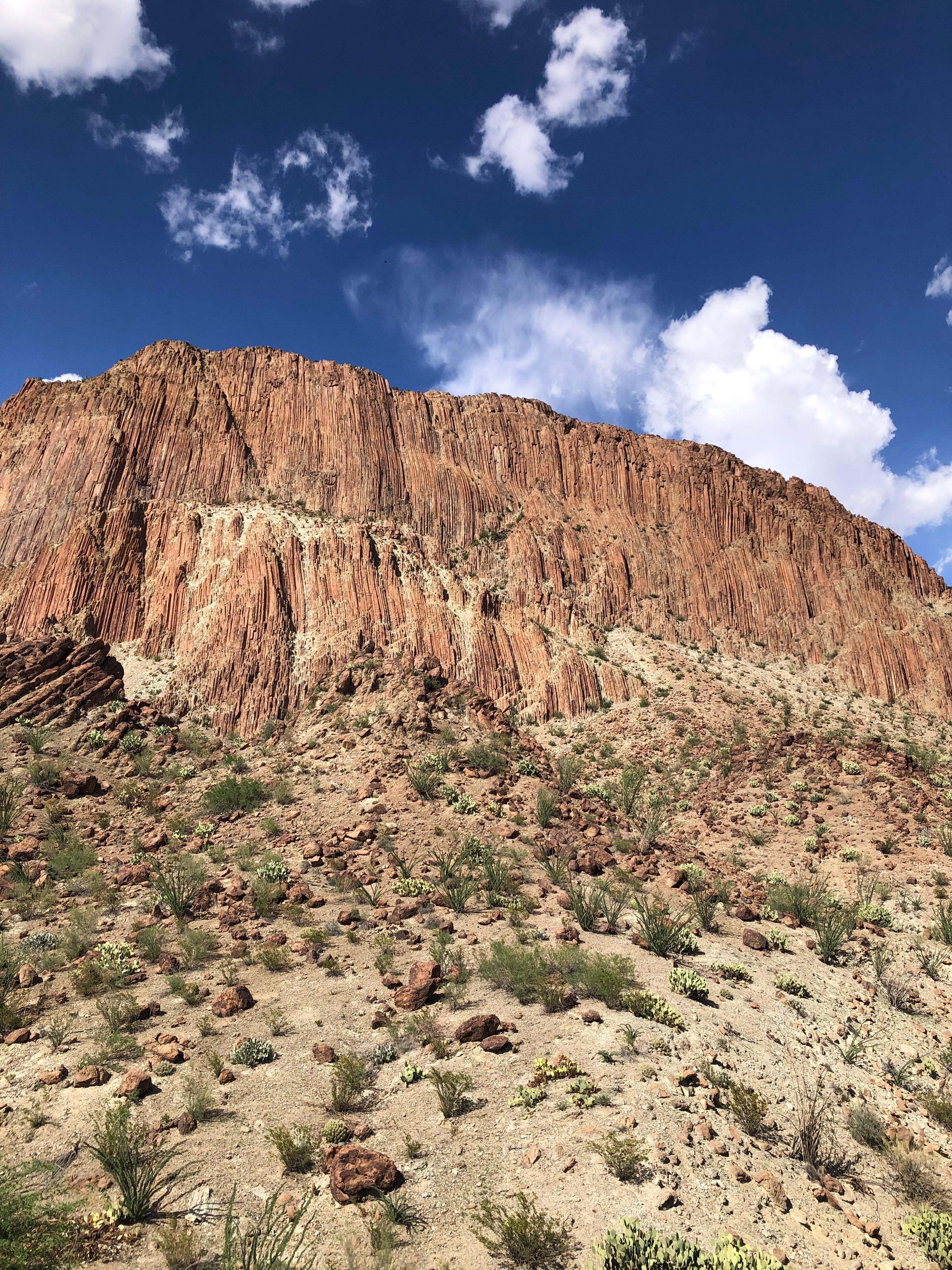 This is your view in the backyard 😍