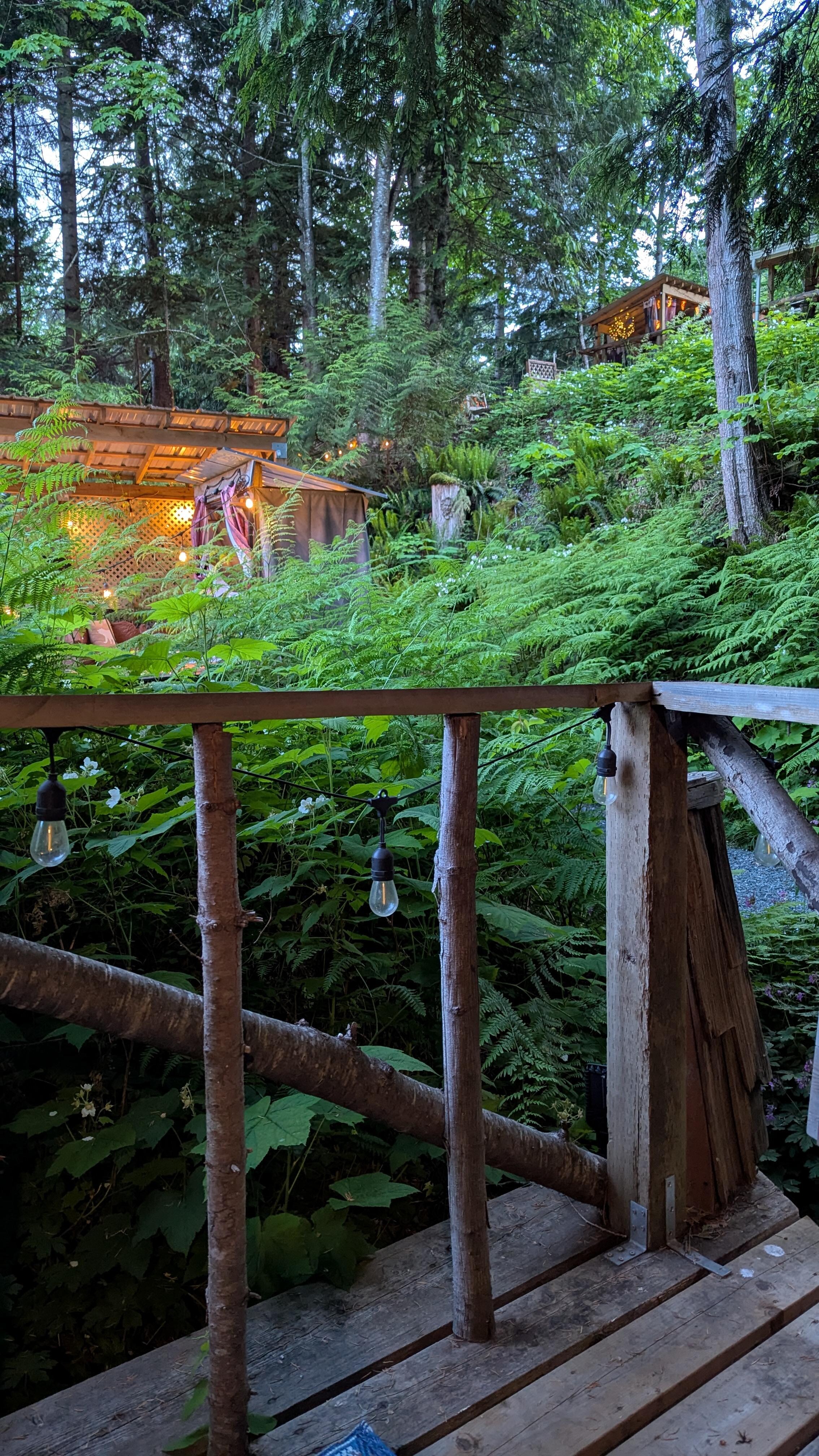 dusk at the cabin