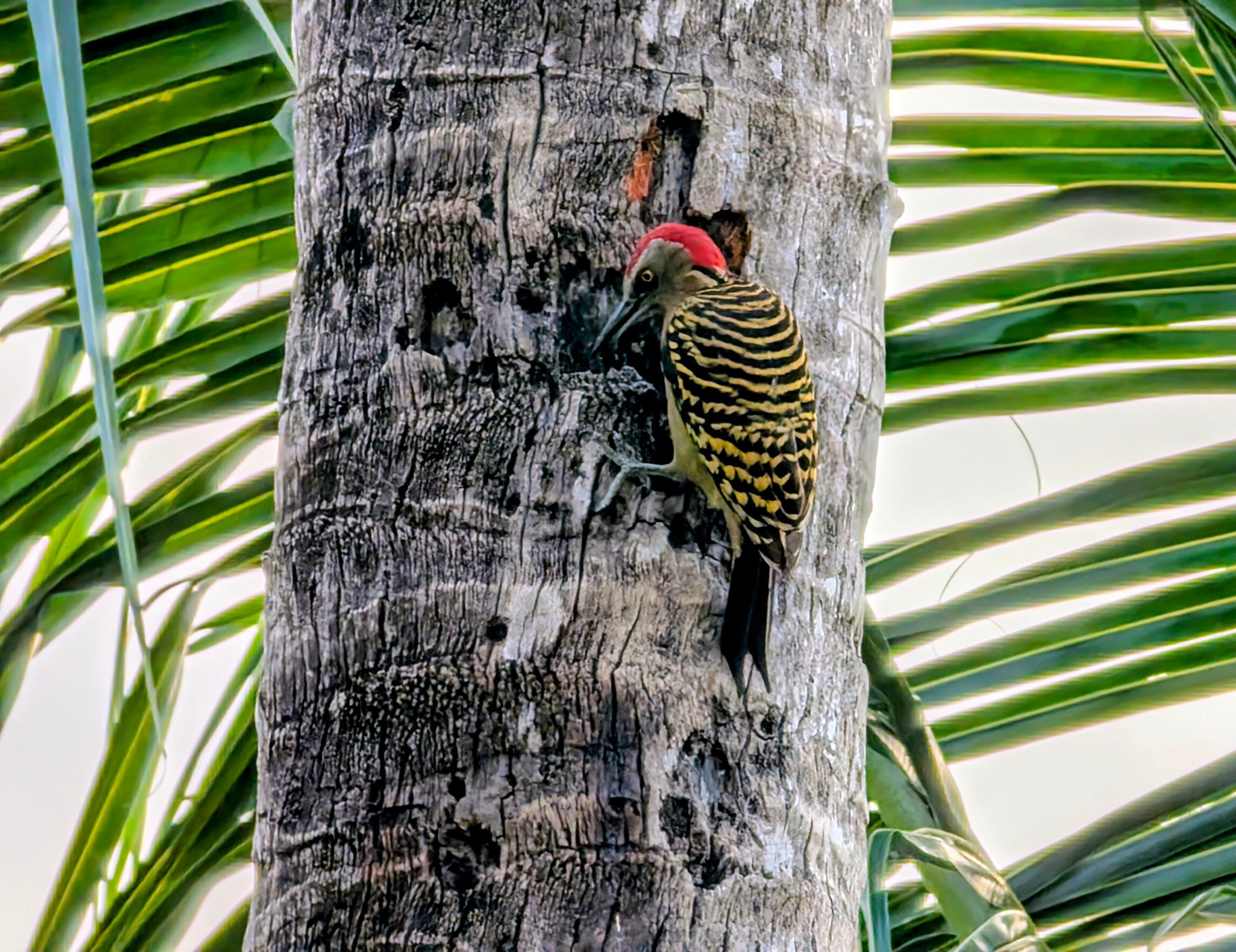 De la terrasse de notre chambre.