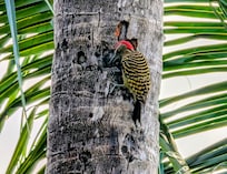 De la terrasse de notre chambre.