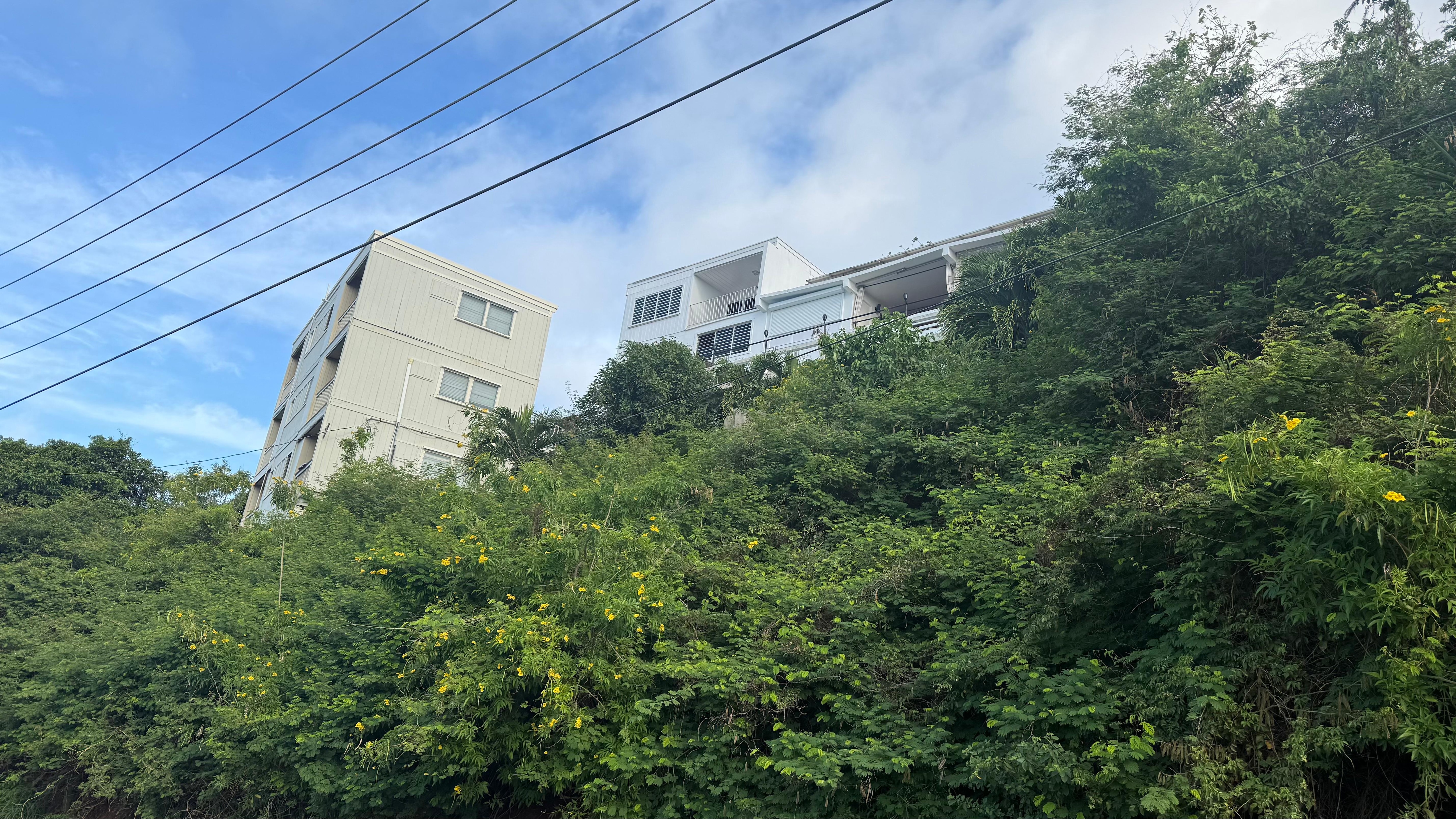View from road below up to property