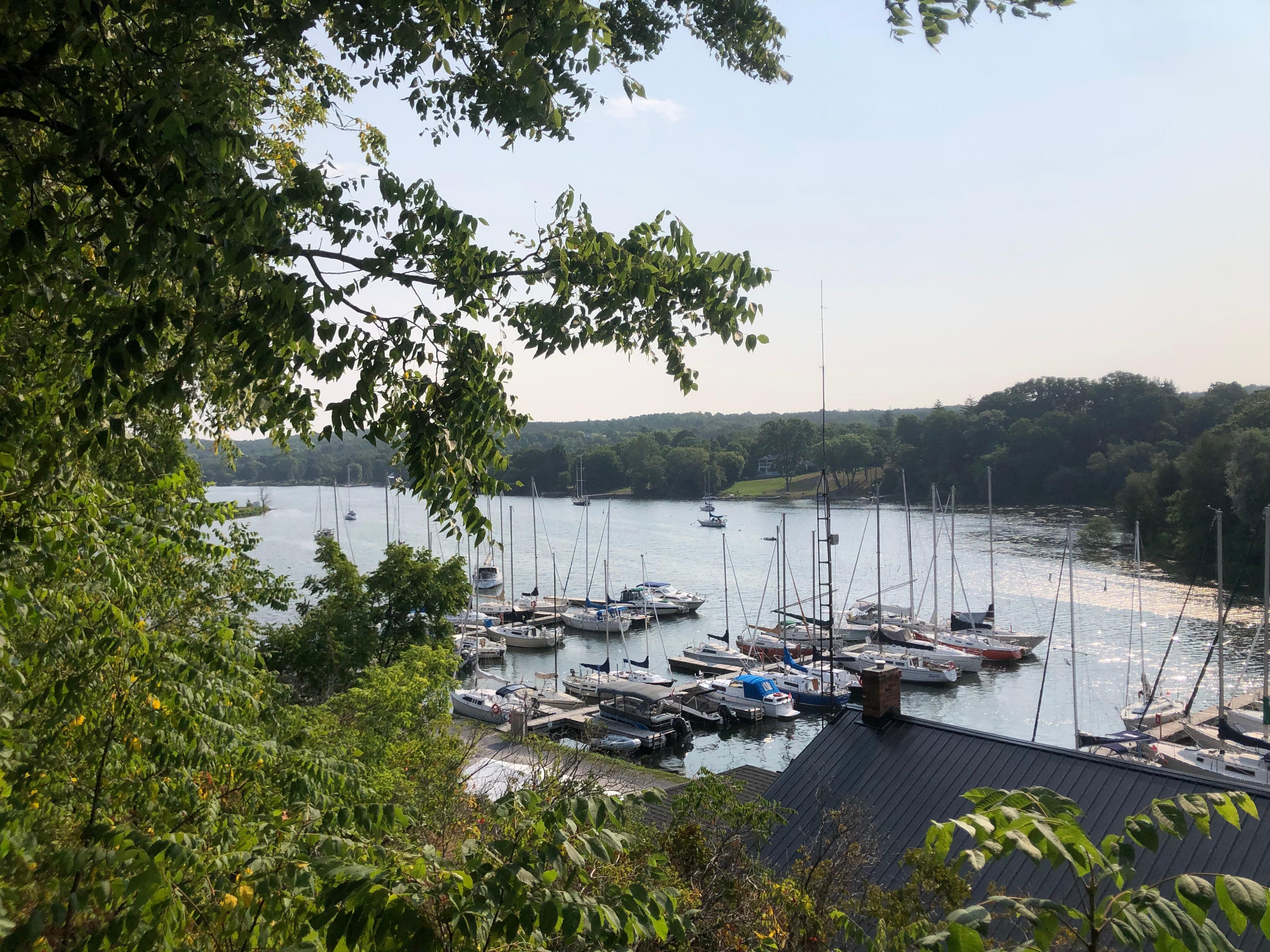 En haut près de la main street au belvédère de la baie nautique.