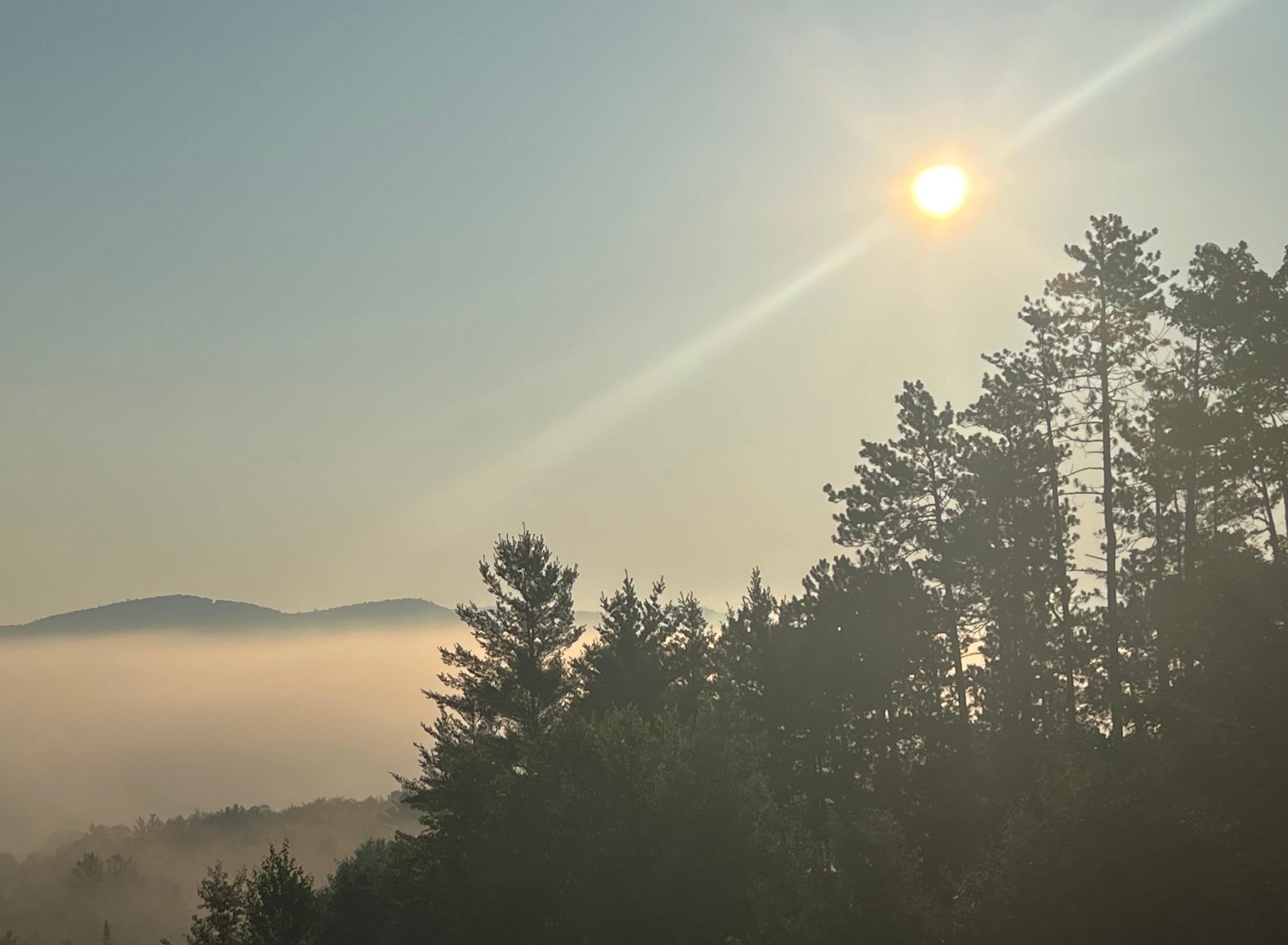 early morning from the back porch. 