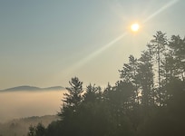 early morning from the back porch.