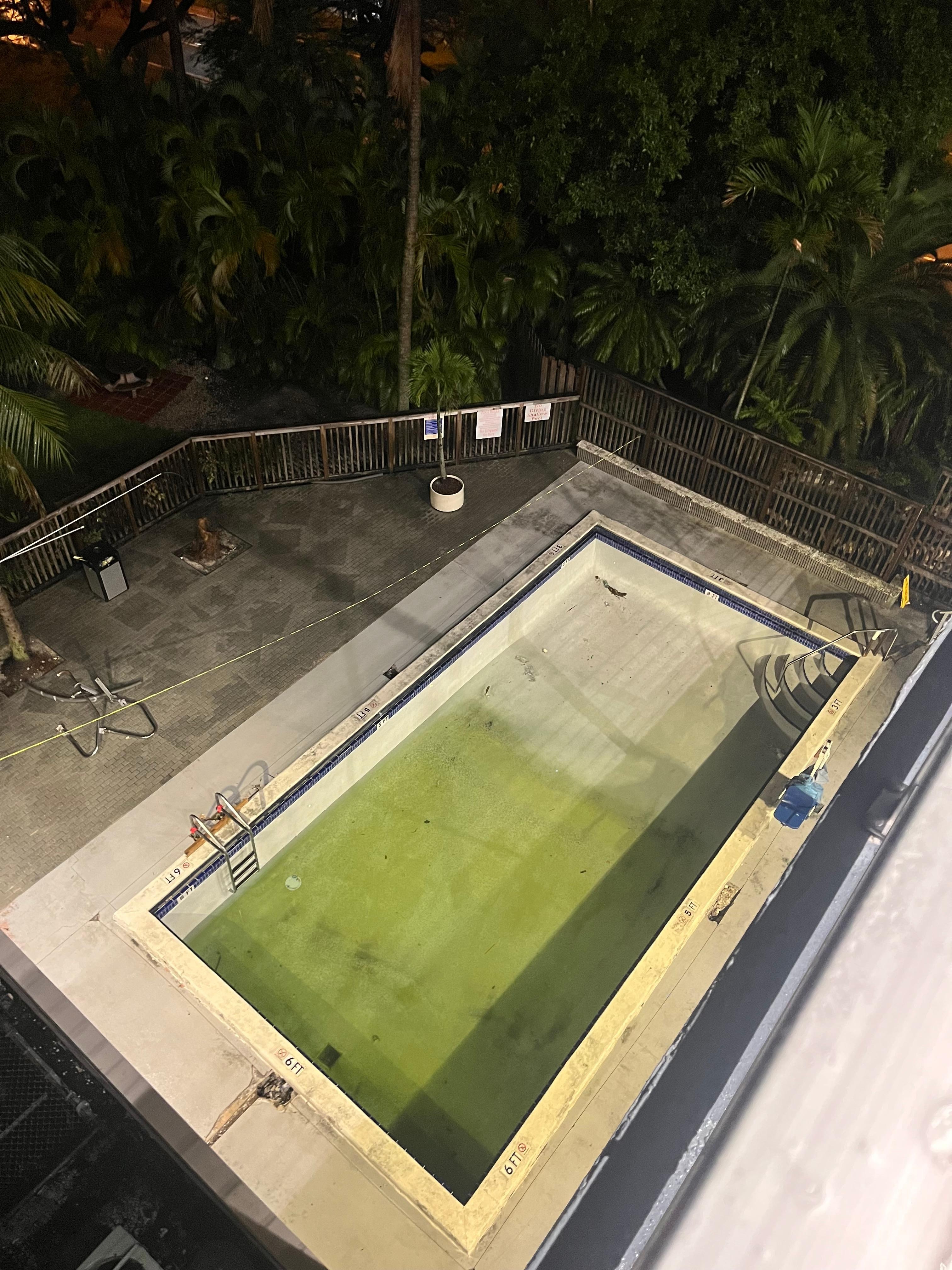 Disgusting pool