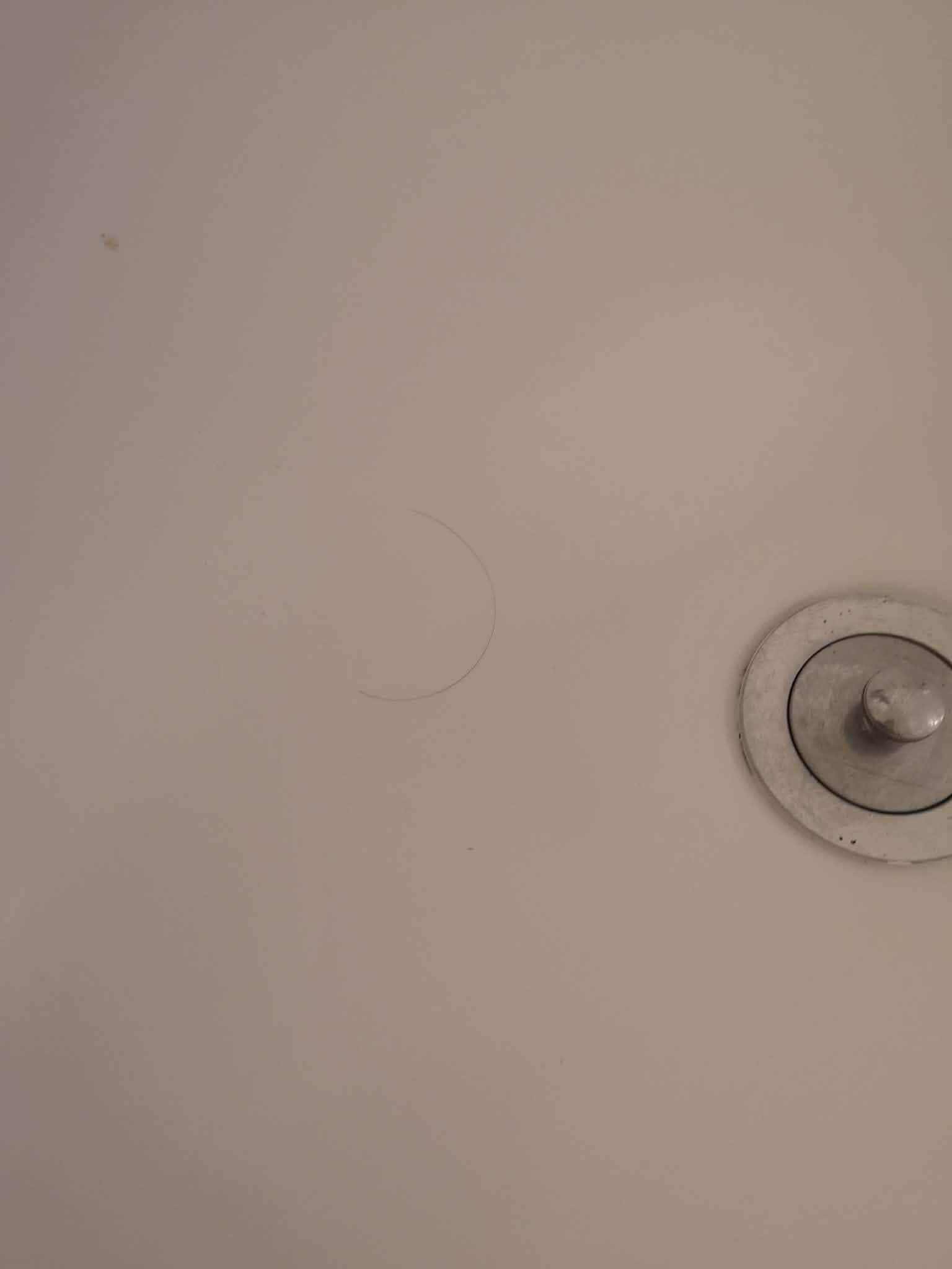 Hair in the tub in first room