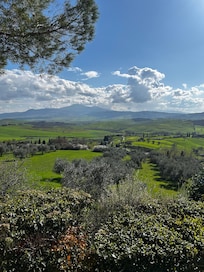 View from the bottom of the steps to the house.