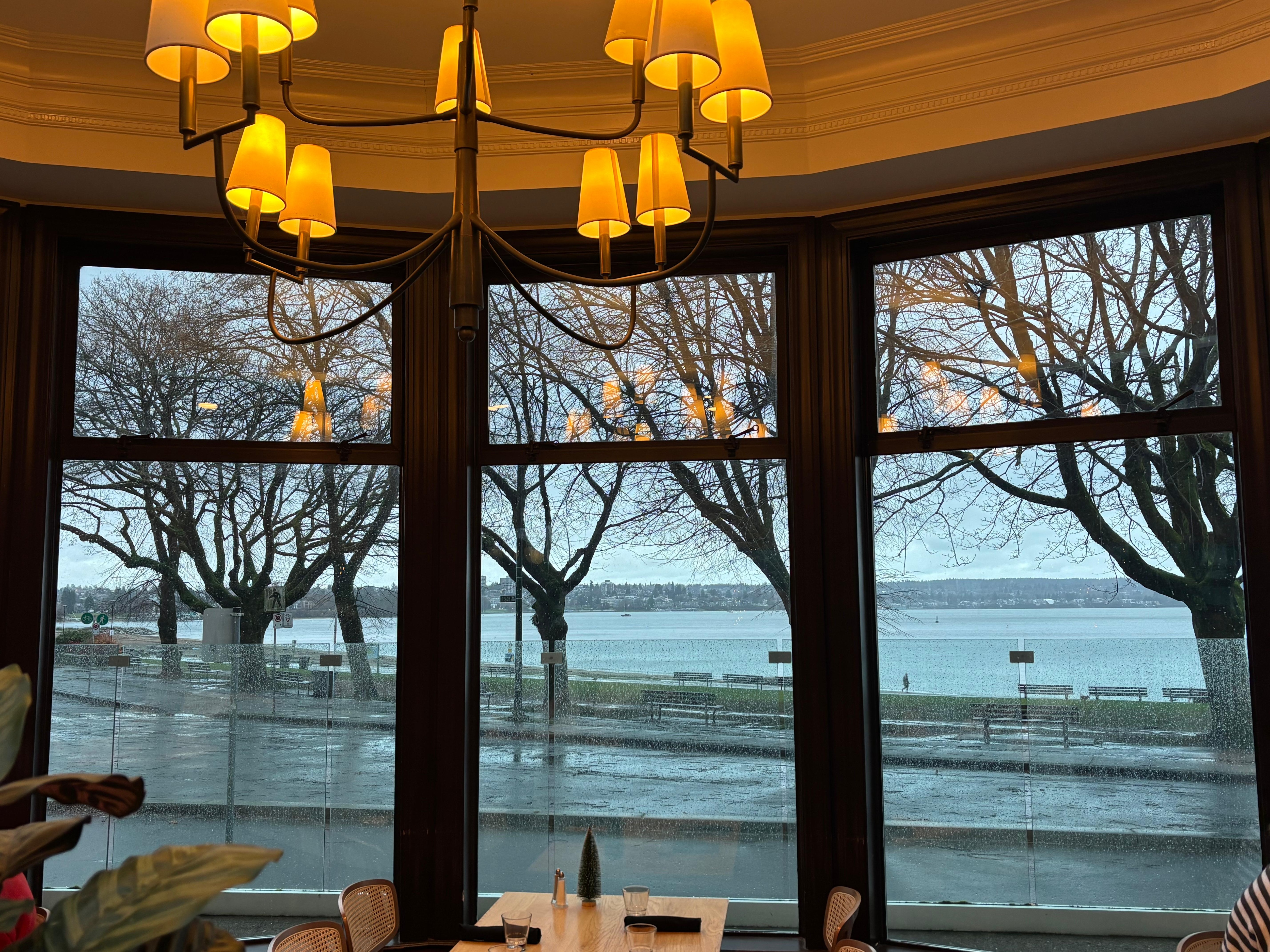 View from dining room.