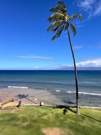 View from the lanai