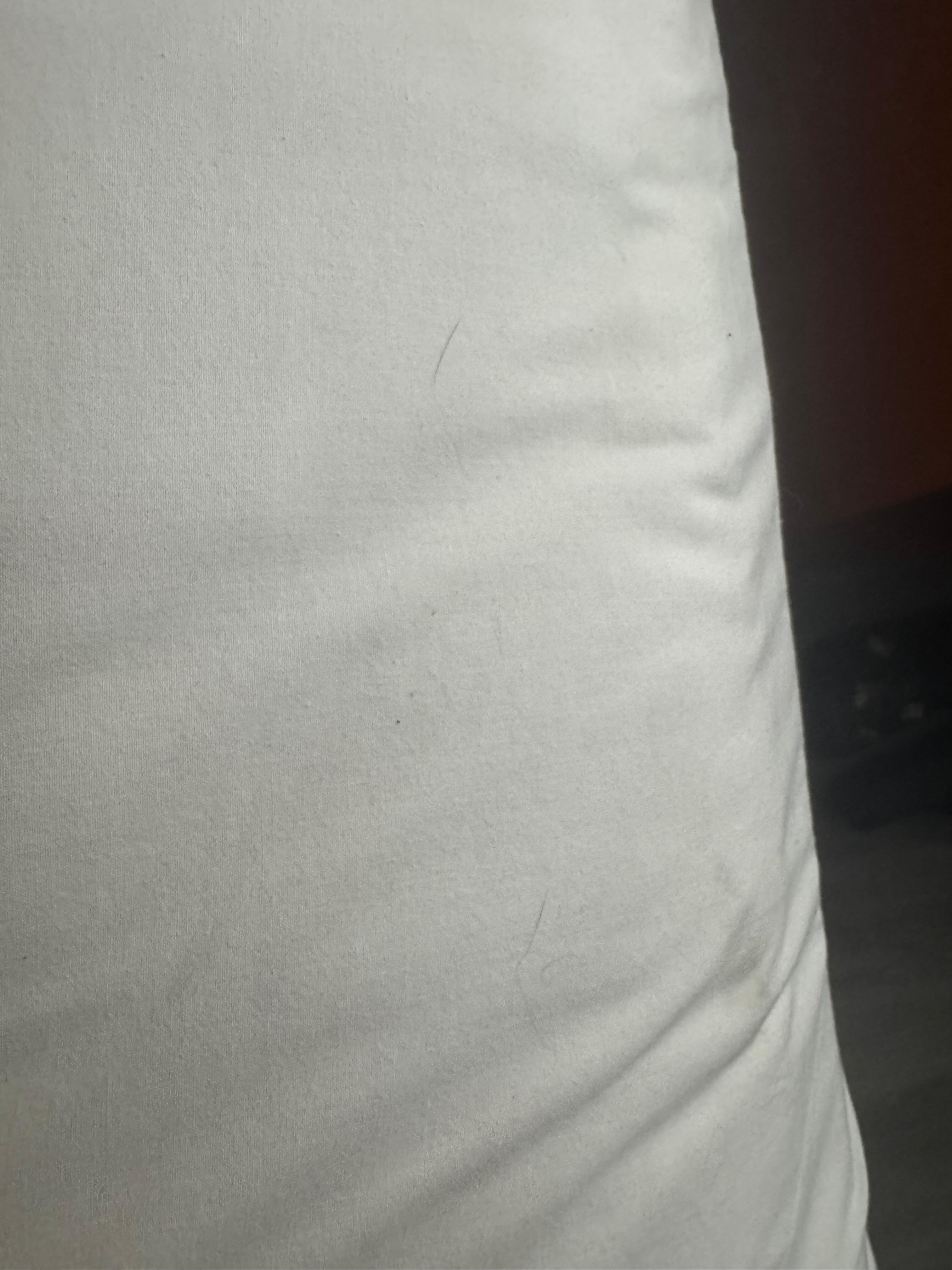 Animal hair on the bed 