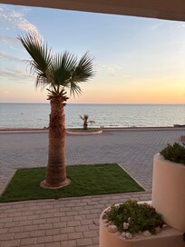 Right outside the back door.