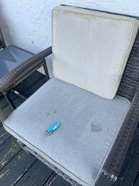 All the deck furniture mildewed, dirty