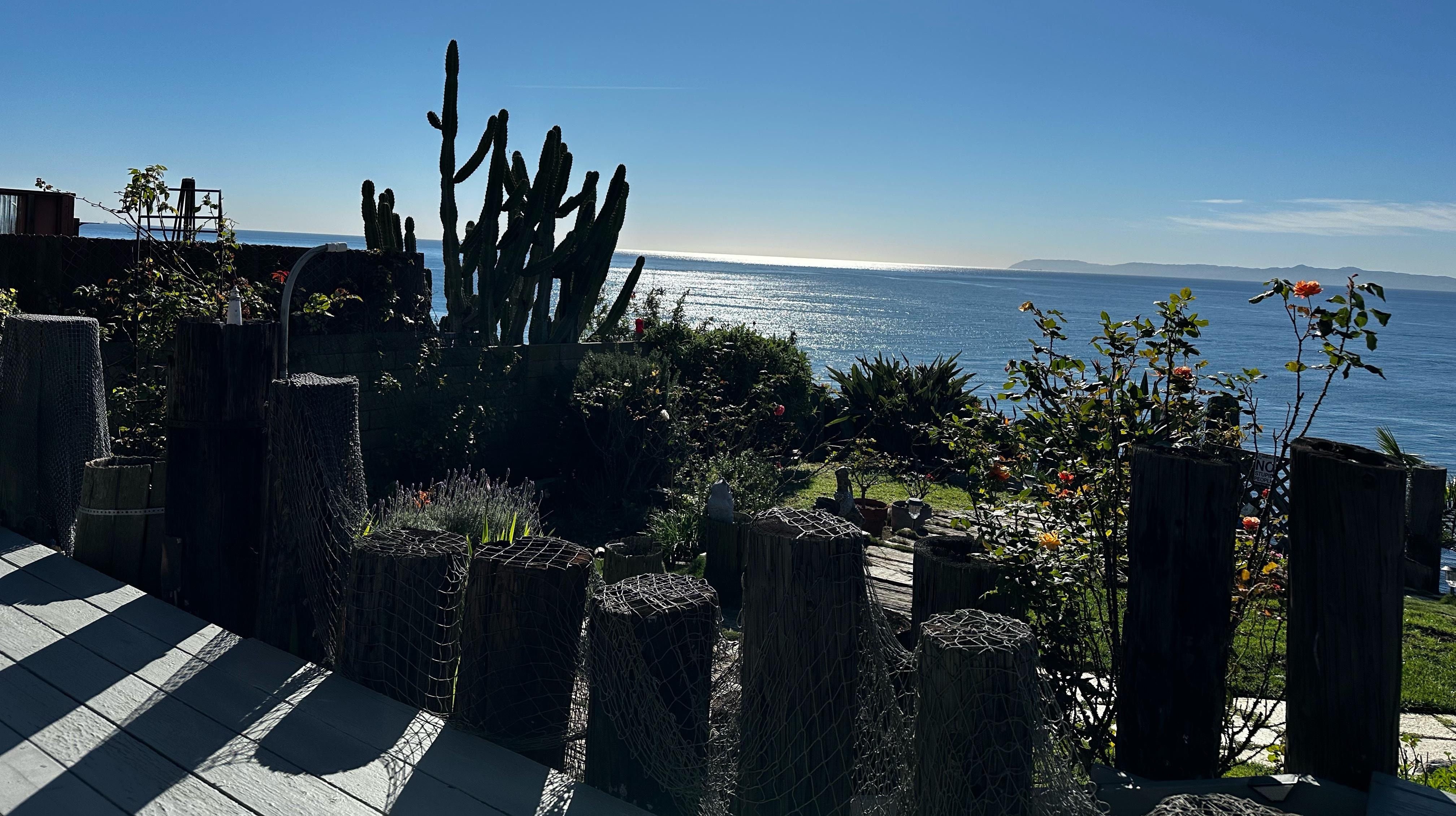 Perfect day. Whales and dolphins passing through our view. 