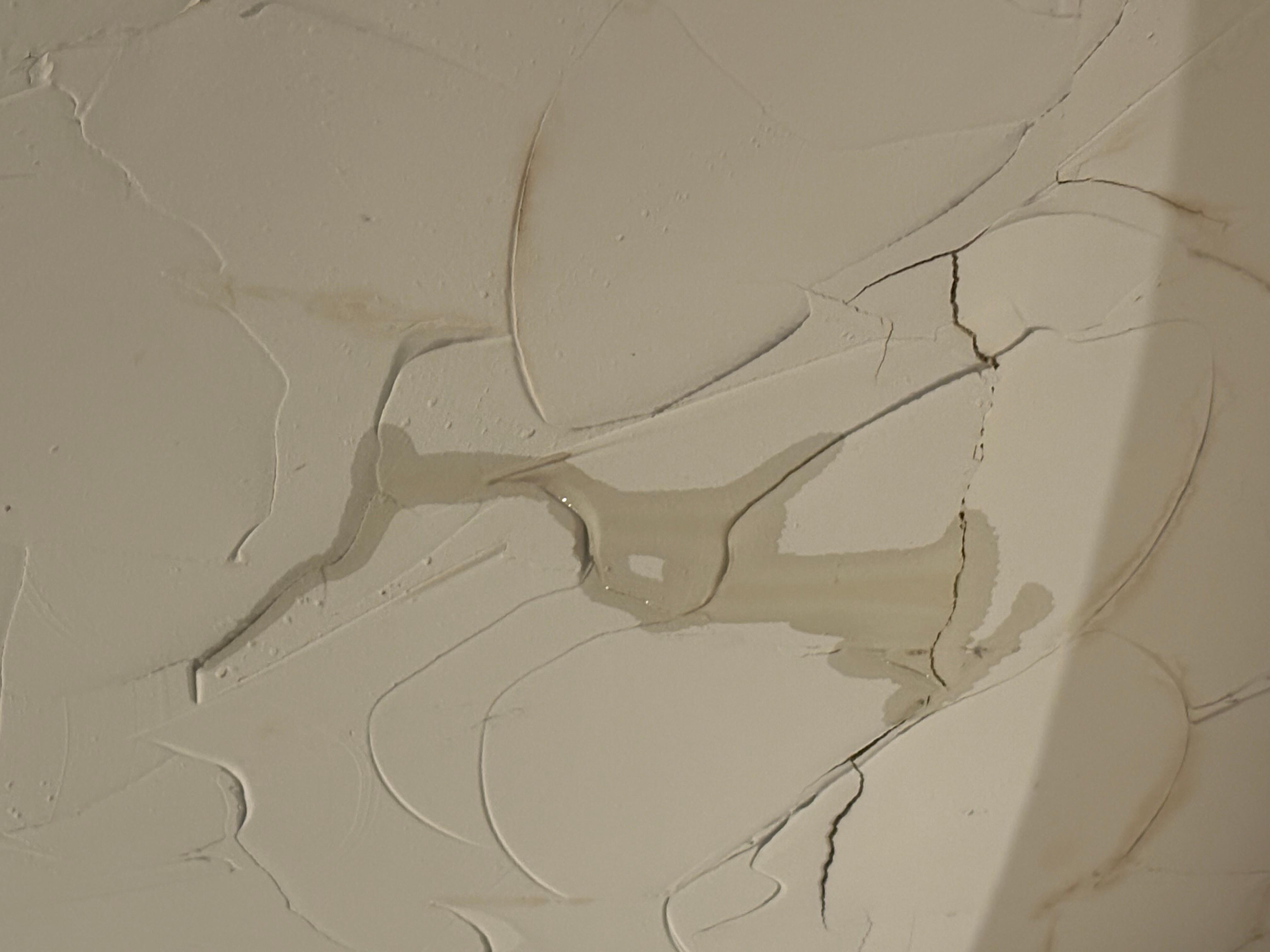 Close-up of the leak in the ceiling of the primary bedroom. 