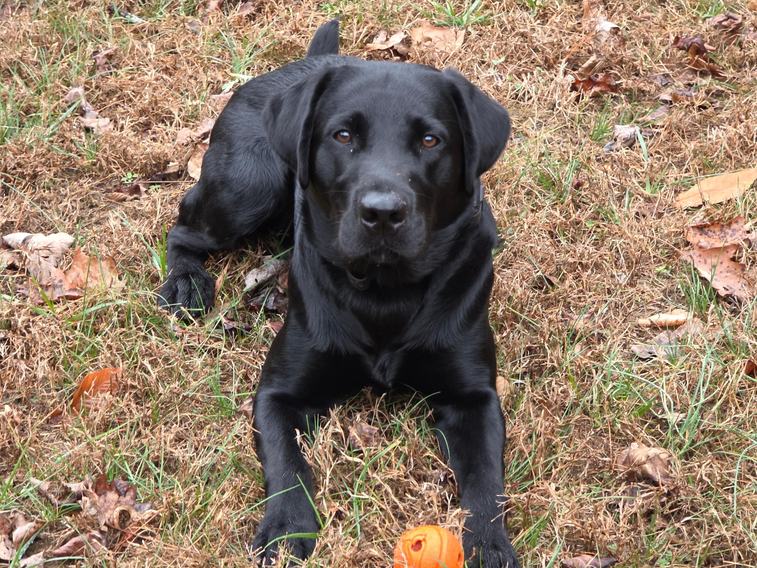 Murphy after playing ball