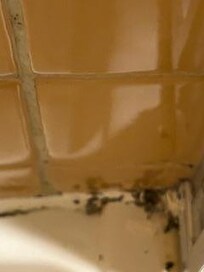 Black gunk in shower