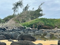 South end of the beach - Amazing walk and views!