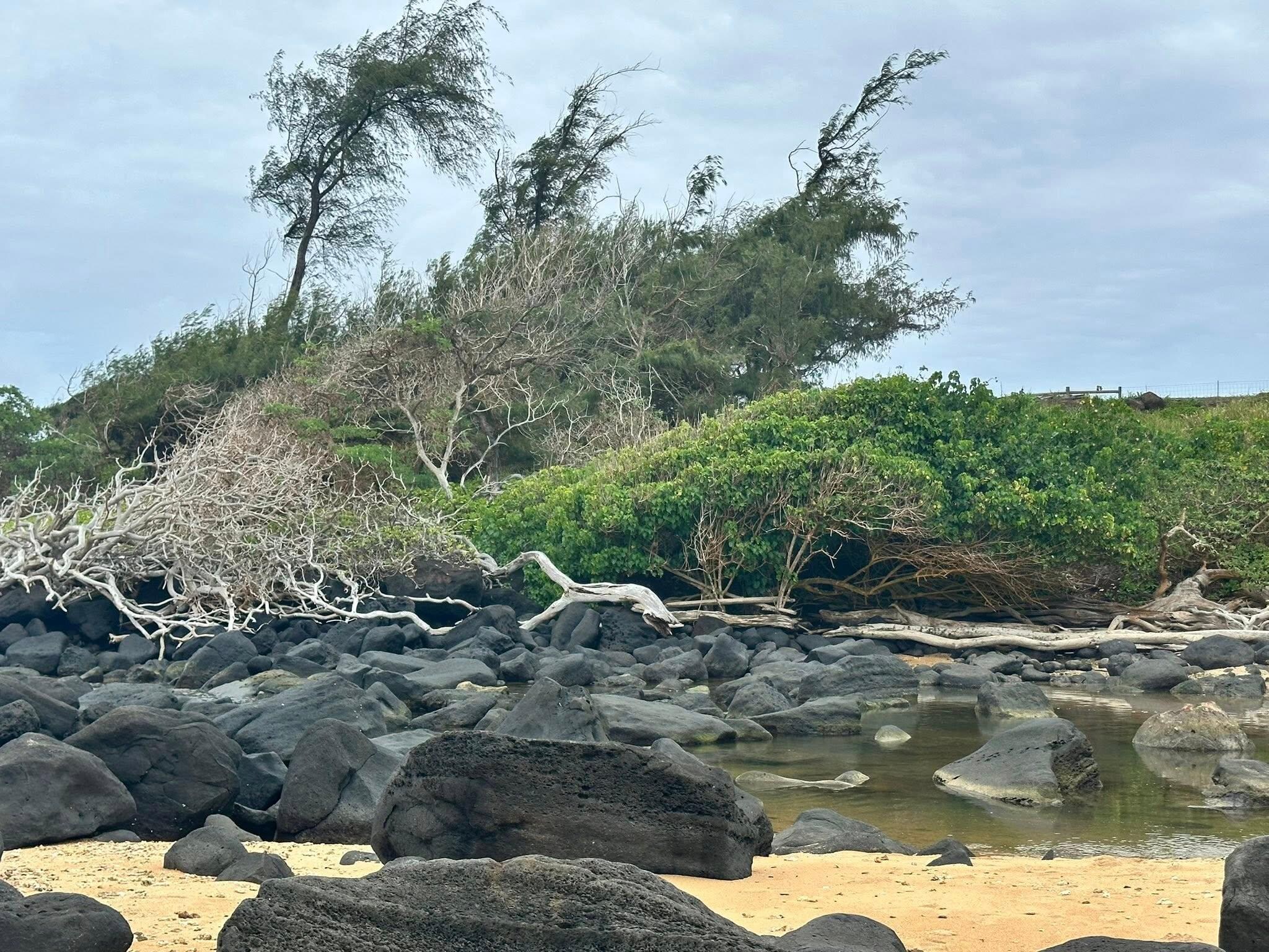 South end of the beach - Amazing walk and views!