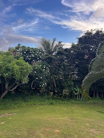View from balcony