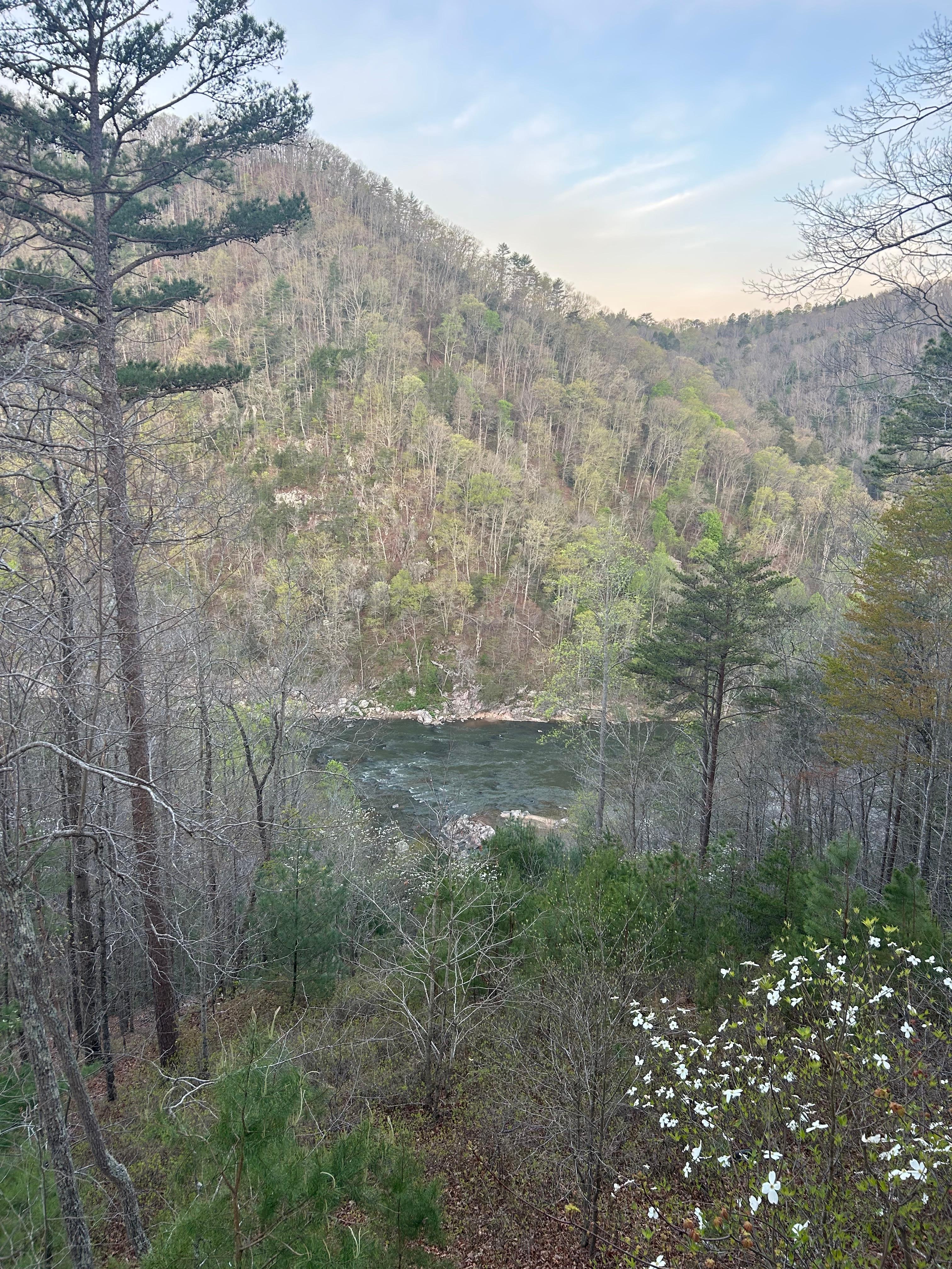 View from deck over French Broad River 
