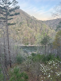 View from deck over French Broad River