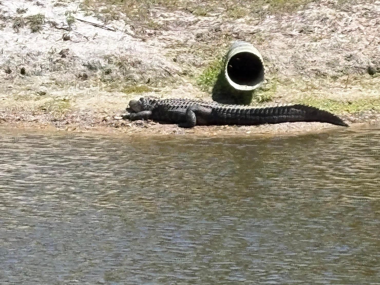 i think this was the biggest