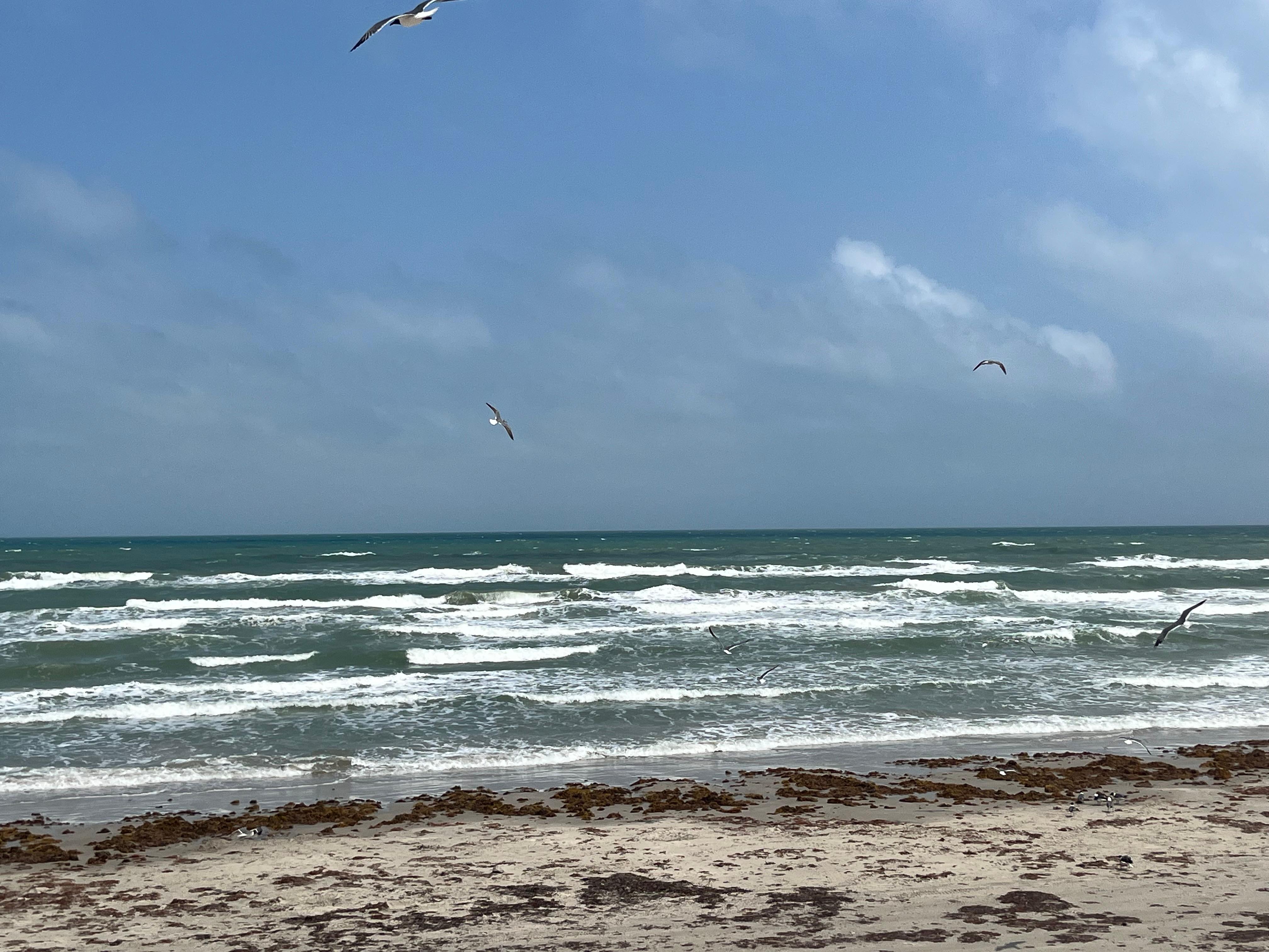 A view of Whitecap beach which is a short walk away. 