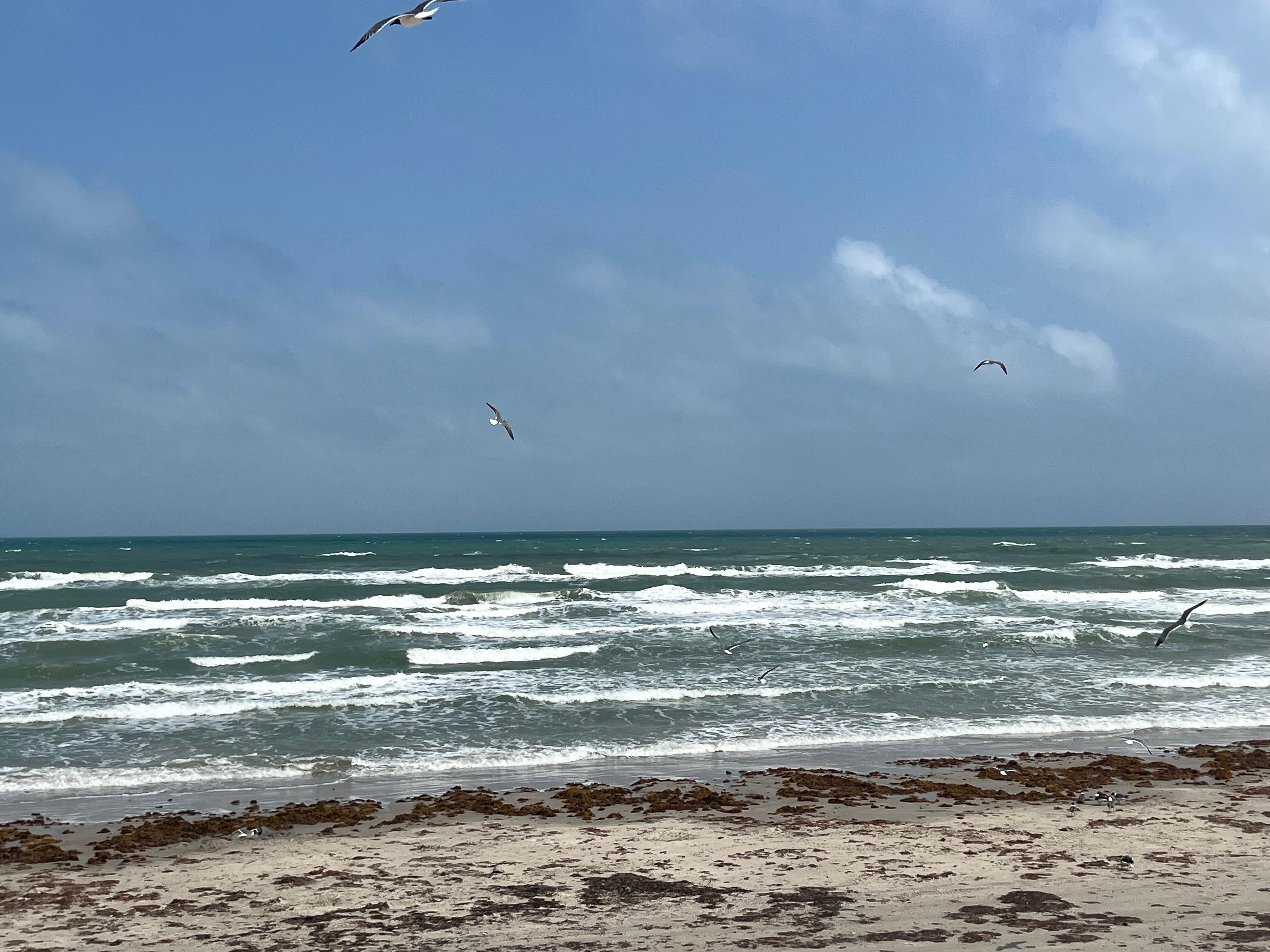 A view of Whitecap beach which is a short walk away. 