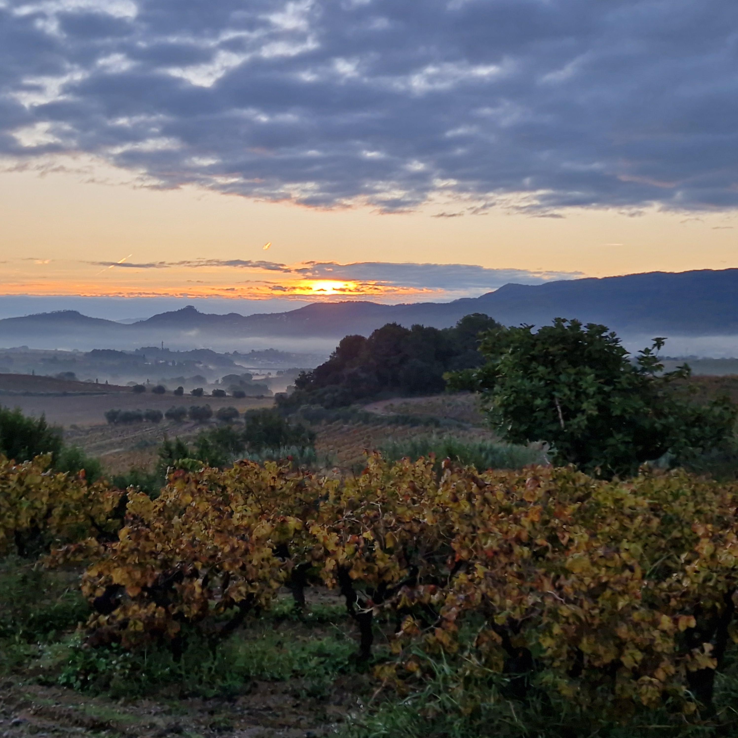 Beautiful views from the front of the hotel