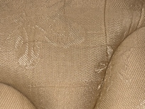 Hairs on mattress, lots of them.