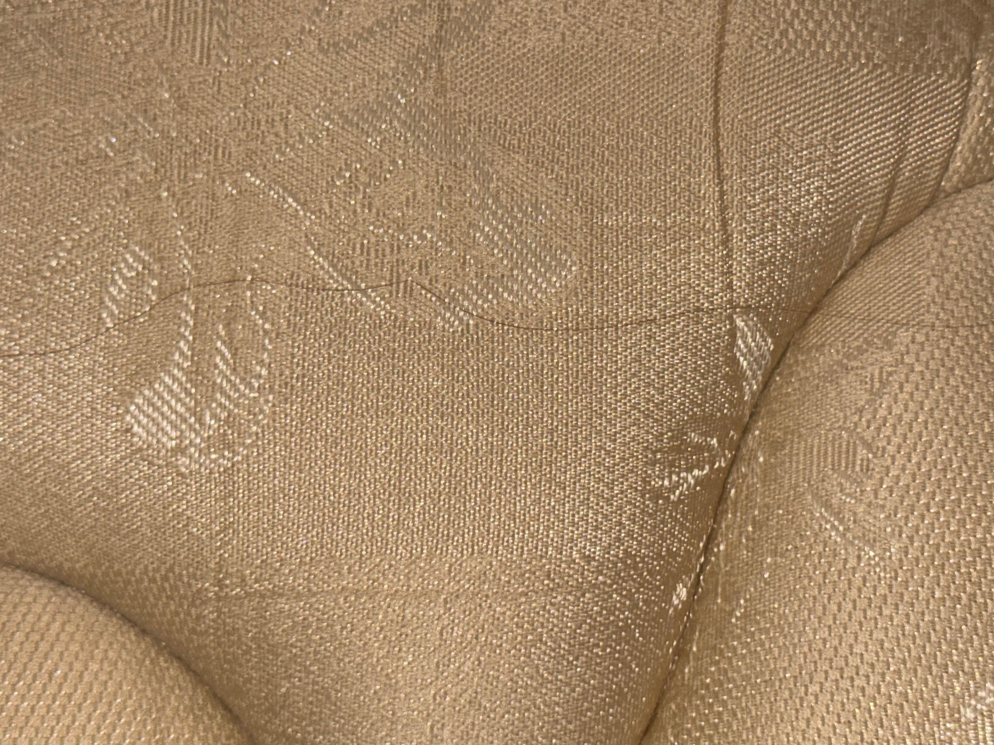 Hairs on mattress, lots of them.